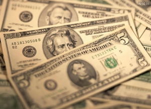 全球貨幣政策趨向保守背景下的外匯儲(chǔ)備小幅下滑 挑戰(zhàn)與策略解析